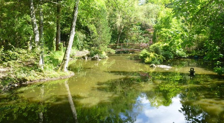 Parc Botanique de la Teyssonnière, , France